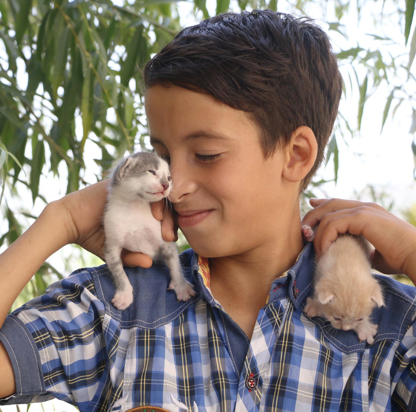 *Ahmad, 10, A Syrian refugee in Lebanon. Cats’ names: Zaynoun and Zannoun
“I have two big cats, and five kittens, I raise them, and I worry a lot about them.
Especially the mother because she breastfeeds her kittens. So, she feels hungry very fast. I feed her and give her water. Whenever I find a cat on my way, I feed her and pet her.
When I wake up, they run toward me, so I feed them and pet them, I love taking care of them.
When I come back from school, they wait for me on the door, and walk between my legs.”
Photo: Nadine Malli/NRC
