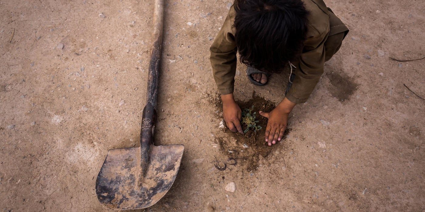 A boy plants a branch in dry earth outside their small mud home in the Police Rah settlement for IDPs, Herat, Afghanistan.

Herat, May 2017

Photo NRC/Jim Huylebroek