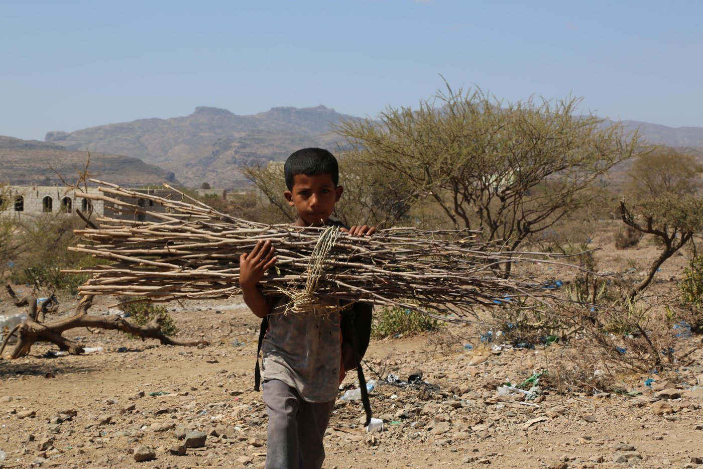 Geyad Ahmed, 6, is a student in first grade at primary school. He attends school in the mornings. Straight after school he goes to the mountain to collect firewood.
"I collect firewood every day to help my mother so she can cook for us.”
Photo: Nasser Abdulkareem/NRC