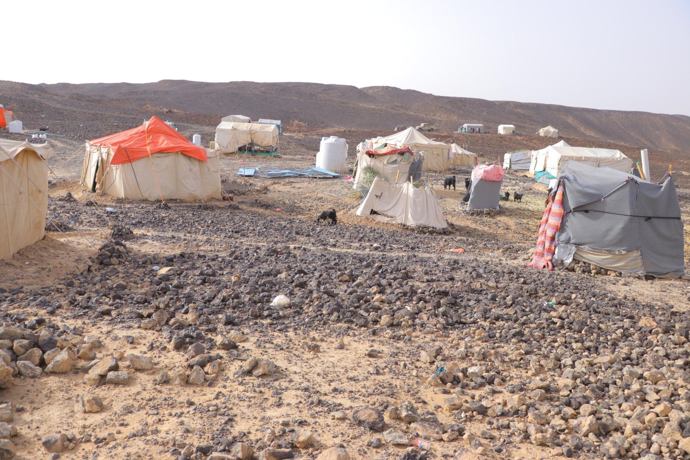 Al-Swaidah camp, though there is nothing to mark it as such: no running water, no toilets, no electricity. It is home for around 500 displaced families from Marib and Nihm.
Photo: Hassan Al-Homaidi/NRC
