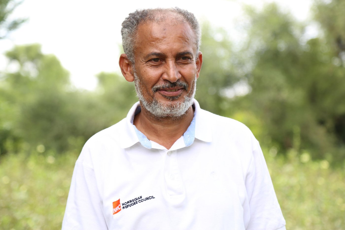 Muneer Rageh, NRC’s Food Security and Livelihoods Officer in Taiz governorate says the project targeted people who returned to their homes after being displaced as well as the host community, stating that the project started in January 2019.
“With the support of the Yemen Humanitarian Fund, NRC trained farmers in modern farming techniques and supported 250 farmers grow vegetables, and another 400 farmers grow grains,” Muneer says.
NRC supported the farmers with money to plough their land, farming tools, and water tanks so they could grow vegetables.
NRC distributed okra, zucchini, arugula, pepper and cabbage seeds to vegetable farmers, and provided corn, white and red sorghum to grain farmers.
NRC supported farmers from from the planting to harvesting process.
Photo: Nasser Abdulkareem