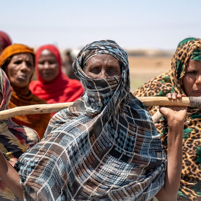 Kvinnliga jordbrukare i Sudan förbereder sig för odlingssäsongen.