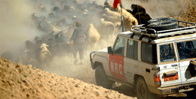 Ein Auto mit dem NRC-Logo