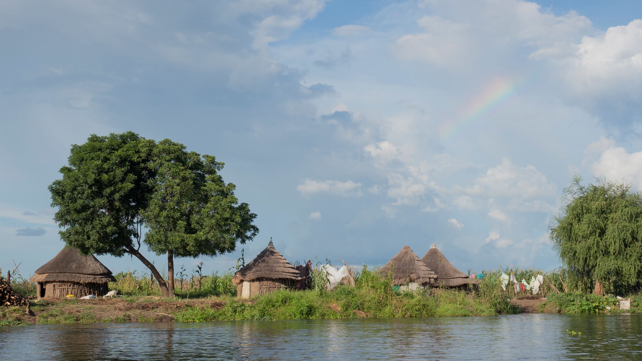 Building peace through connectivity